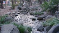 DSC00314.JPG